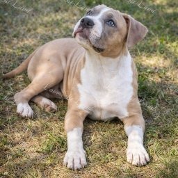 Zdjęcie: Carlos & Kacper M