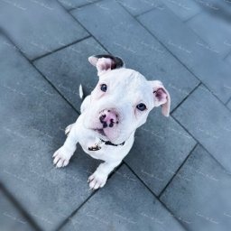 Zdjęcie: Logan & Werena