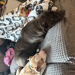 Zdjęcie: Louis & Sylwia