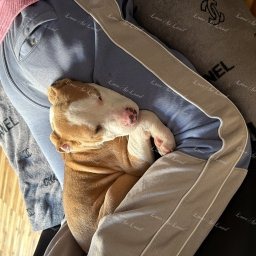 Zdjęcie: Louis & Sylwia