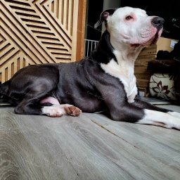 Zdjęcie: Róża & Natasza