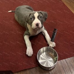 Zdjęcie: Lava & Sylwia i Damian