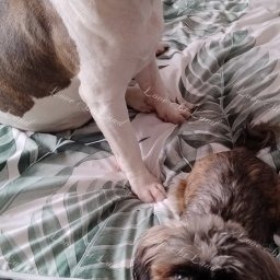 Zdjęcie: Elio & Marta& Grzegorz