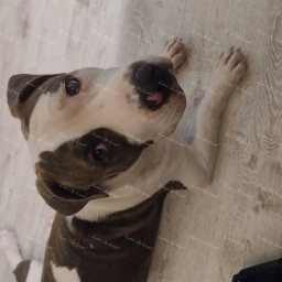 Zdjęcie: Elio & Marta& Grzegorz