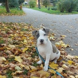 Zdjęcie: Elio & Marta& Grzegorz