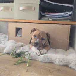 Zdjęcie: Lara Croft & Sylwia