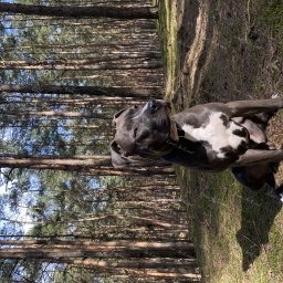 Zdjęcie: Eegon & Małgorzata Małecka