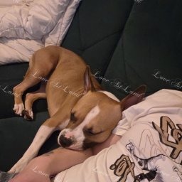 Zdjęcie: Diva & Mateusz