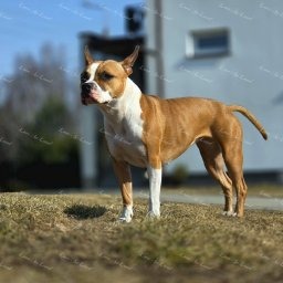 Zdjęcie: Diva & Mateusz