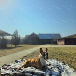 Zdjęcie: Diva & Mateusz