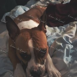 Zdjęcie: Diva & Mateusz