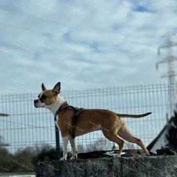 Zdjęcie: Diva & Mateusz